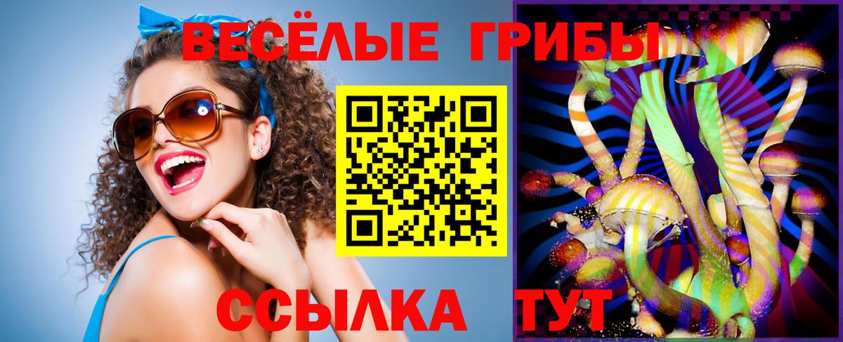 Псилоцибиновые грибы мухоморы Верхняя Салда